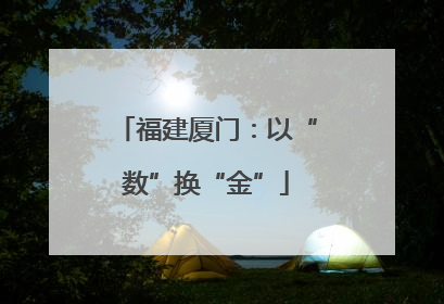 福建厦门：以“数”换“金”