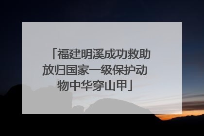 福建明溪成功救助放归国家一级保护动物中华穿山甲