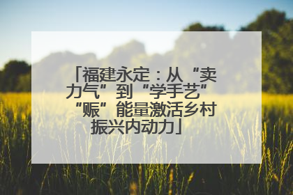 福建永定：从“卖力气”到“学手艺”“赈”能量激活乡村振兴内动力