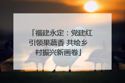 福建永定：党建红引领果蔬香 共绘乡村振兴新画卷
