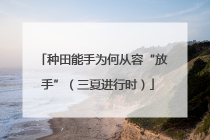 种田能手为何从容“放手”（三夏进行时）