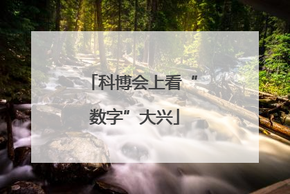 科博会上看“数字”大兴