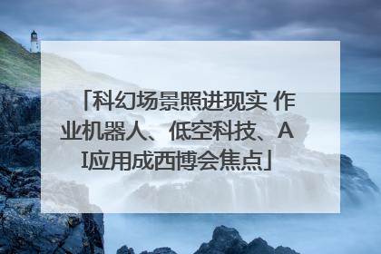 科幻场景照进现实 作业机器人、低空科技、AI应用成西博会焦点