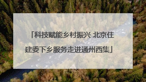 科技赋能乡村振兴 北京住建委下乡服务走进通州西集