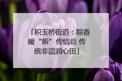 积玉桥街道：粽香暖“新”传情意 传统非遗润心田