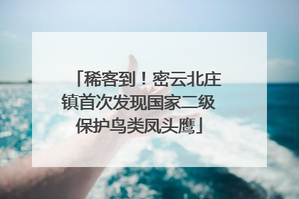 稀客到！密云北庄镇首次发现国家二级保护鸟类凤头鹰