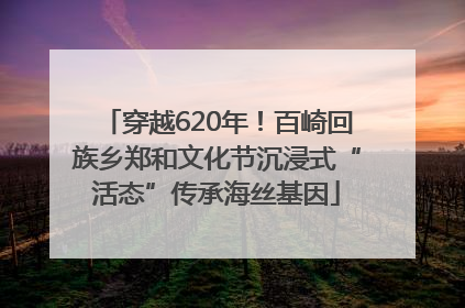 穿越620年！百崎回族乡郑和文化节沉浸式“活态”传承海丝基因