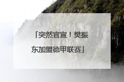 突然官宣！樊振东加盟德甲联赛