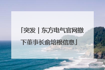 突发｜东方电气官网撤下董事长俞培根信息