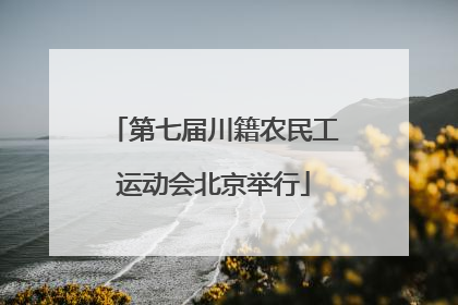 第七届川籍农民工运动会北京举行
