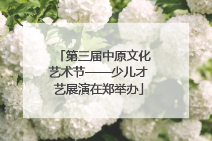 第三届中原文化艺术节——少儿才艺展演在郑举办