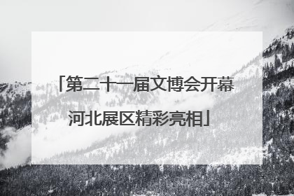 第二十一届文博会开幕 河北展区精彩亮相