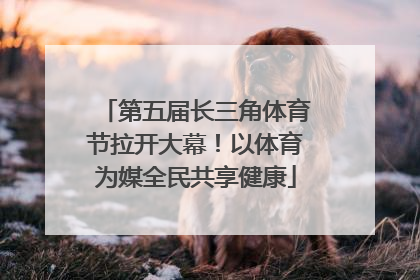 第五届长三角体育节拉开大幕！以体育为媒全民共享健康