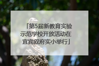 第5届新教育实验示范学校开放活动在宜宾叙府实小举行