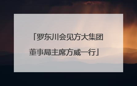 罗东川会见方大集团董事局主席方威一行