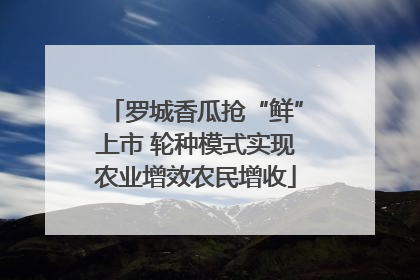 罗城香瓜抢“鲜”上市 轮种模式实现农业增效农民增收