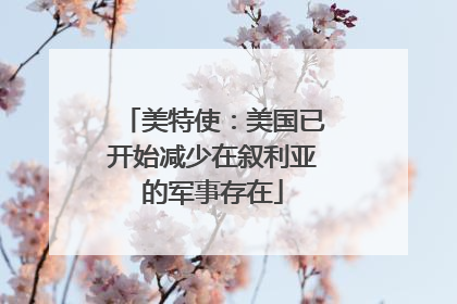 美特使：美国已开始减少在叙利亚的军事存在