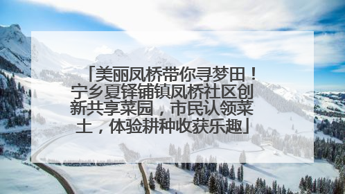 美丽凤桥带你寻梦田！宁乡夏铎铺镇凤桥社区创新共享菜园，市民认领菜土，体验耕种收获乐趣