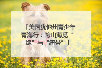 美国犹他州青少年青海行：跨山海觅“缘”与“纽带”