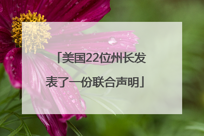 美国22位州长发表了一份联合声明