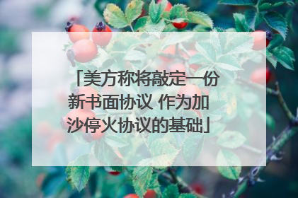 美方称将敲定一份新书面协议 作为加沙停火协议的基础