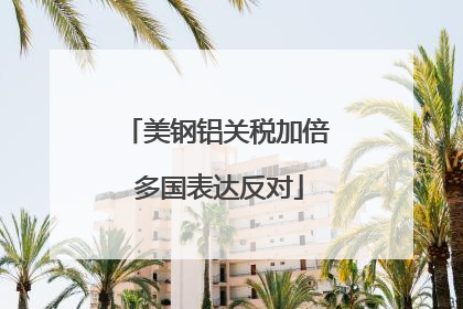 美钢铝关税加倍 多国表达反对