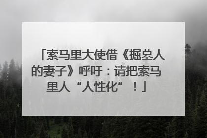 索马里大使借《掘墓人的妻子》呼吁：请把索马里人“人性化”！
