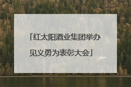 红太阳酒业集团举办见义勇为表彰大会