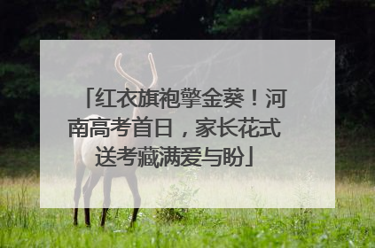 红衣旗袍擎金葵！河南高考首日，家长花式送考藏满爱与盼