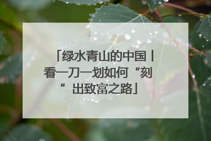 绿水青山的中国丨看一刀一划如何“刻”出致富之路