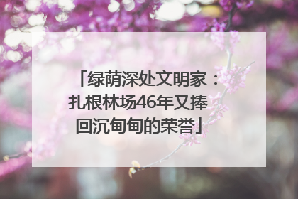 绿荫深处文明家：扎根林场46年又捧回沉甸甸的荣誉