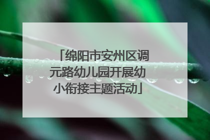 绵阳市安州区调元路幼儿园开展幼小衔接主题活动