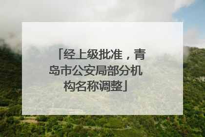 经上级批准，青岛市公安局部分机构名称调整