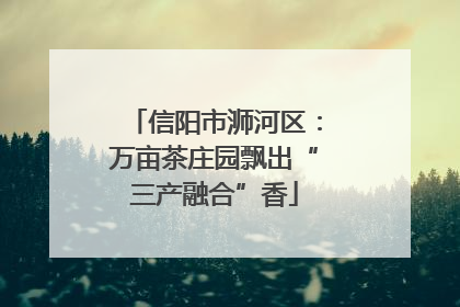 信阳市浉河区：万亩茶庄园飘出“三产融合”香