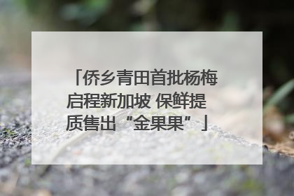 侨乡青田首批杨梅启程新加坡 保鲜提质售出“金果果”