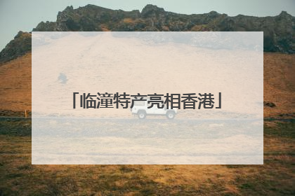 临潼特产亮相香港