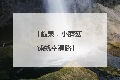临泉：小蘑菇铺就幸福路