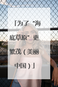 为了“海底草原”更繁茂（美丽中国）