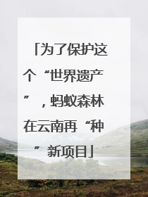 为了保护这个“世界遗产”，蚂蚁森林在云南再“种”新项目
