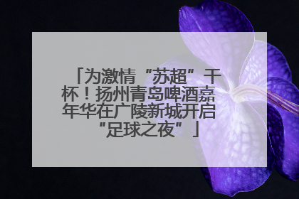 为激情“苏超”干杯！扬州青岛啤酒嘉年华在广陵新城开启“足球之夜”