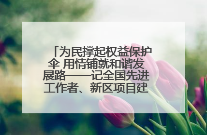 为民撑起权益保护伞 用情铺就和谐发展路——记全国先进工作者、新区项目建设中心干部卢小勇