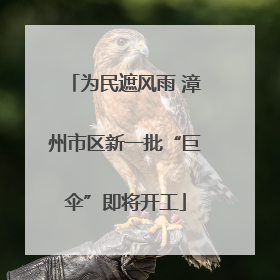 为民遮风雨 漳州市区新一批“巨伞”即将开工