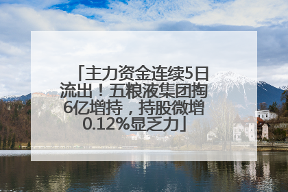 主力资金连续5日流出！五粮液集团掏6亿增持，持股微增0.12%显乏力
