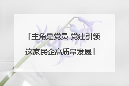 主角是党员 党建引领这家民企高质量发展