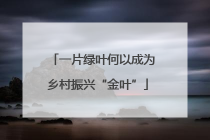 一片绿叶何以成为乡村振兴“金叶”