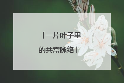 一片叶子里的共富脉络