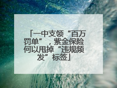 一中支领“百万罚单”，紫金保险何以甩掉“违规频发”标签