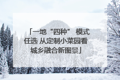 一地“四种” 模式任选 从定制小菜园看城乡融合新图景