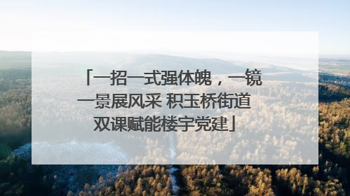 一招一式强体魄，一镜一景展风采 积玉桥街道双课赋能楼宇党建