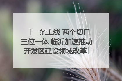 一条主线 两个切口 三位一体 临沂加速推动开发区建设领域改革